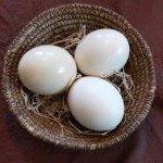 Strusie jaja spożywcze